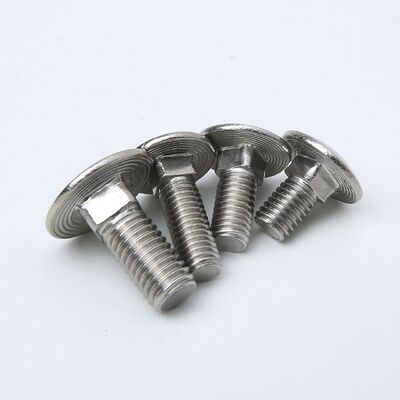 Stainless Steel SS 304 316Made Easy with Secure Carriage Bolt DIN603
