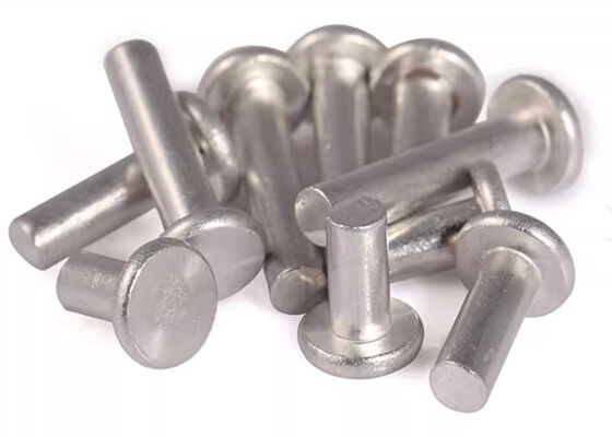 Metal Rivites Metal Rivet manufacturer from china