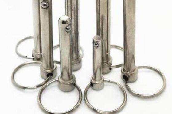 Release Pin Stainless Steel SS304 SS316 SS316L M10 M12 M16 M18 Food Processing Pharmaceutical Industries