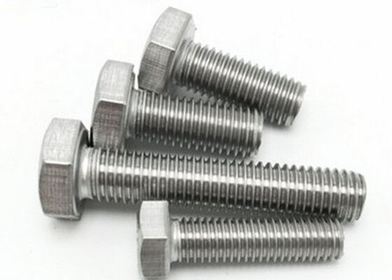 M12 M14 Stainless Steel Hex Heavy Bolt with Nut Washer SS304 SS316 A2 A4-70 A4-80